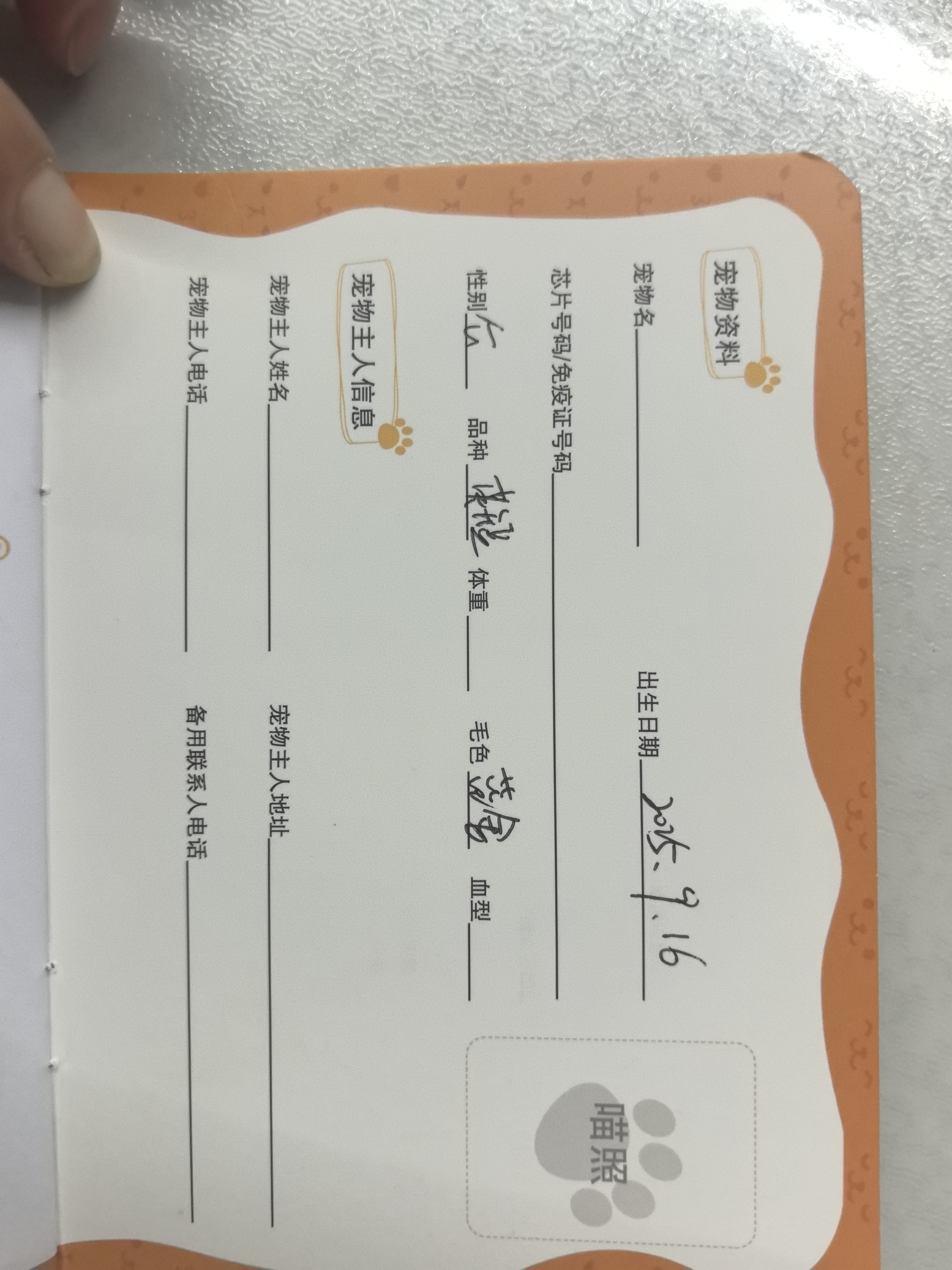 纯种蓝金小猫，有防疫证，驱虫已做，已经打完两针，性格好，大眼睛，健康无癣